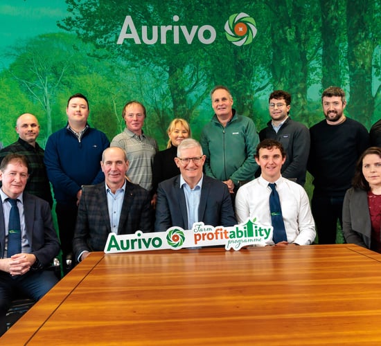 Aurivo suppliers selected for farm profitability programme