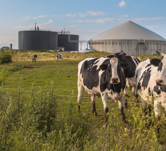 Biomethane supplier opens Tipperary facility