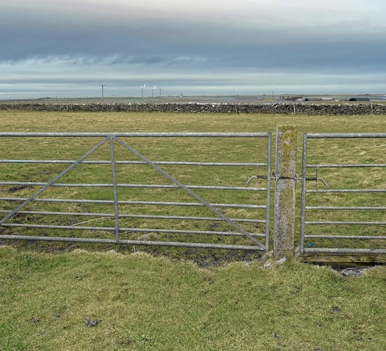 MP: 'Farmers have been crippled by bureaucracy'