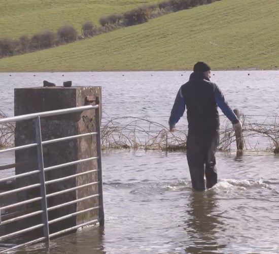 Co. Roscommon lake reduces by level 'unheard of'