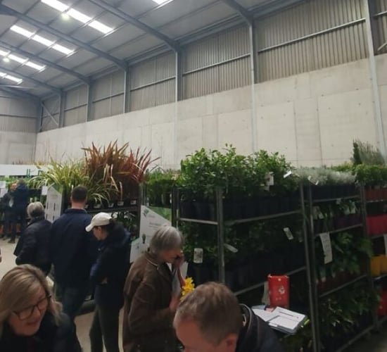 Hardy nursery stock trading season gets underway