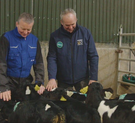 Progressive Farm Program: Breeding a functional cow in Kildare