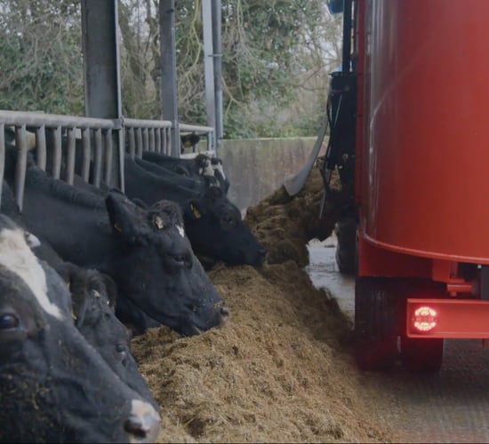Progressive Farm Program: Breeding a robust cow for Meath autumn-calving herd