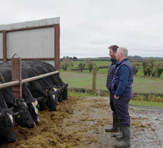 Progressive Farm Program: Achieving 605kg of milk solids in Louth dairy herd
