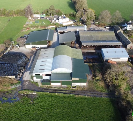 Progressive Farm Program: Combining pedigree breeding and EBI in Meath