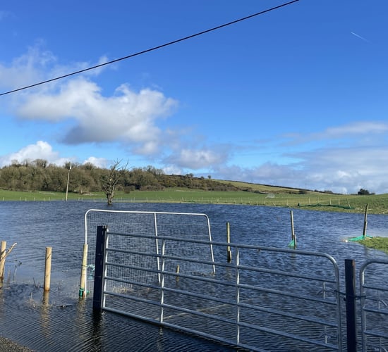 Temporary measures needed at Lough Funshinagh this summer - minister