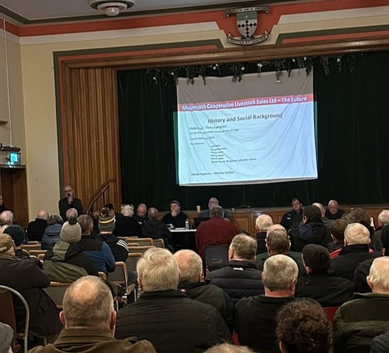 'Successful outlook' for reopening of Mountrath Mart