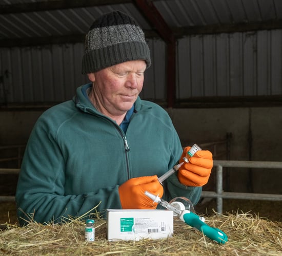 Wexford farmer adopts 'game changer' into calving routine
