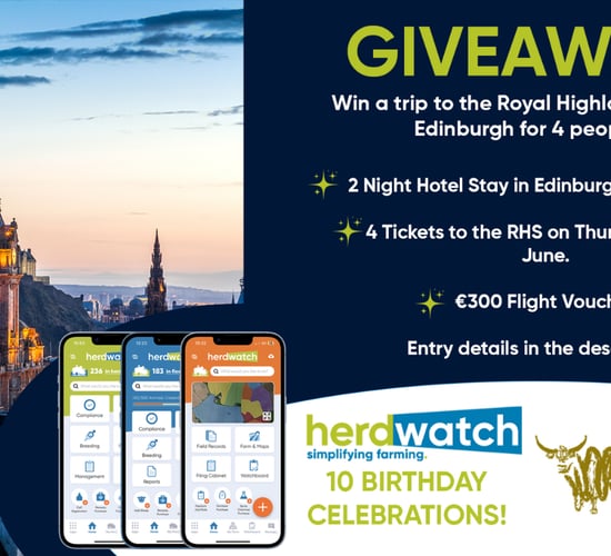 Watch: Herdwatch marks 10th anniversary with giveaway