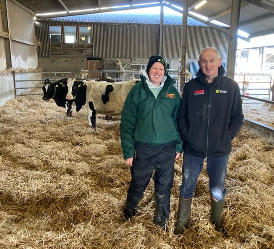 Waterford farmer operates hands-on system during calving season