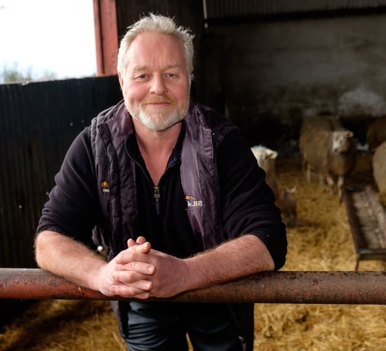 NI farmers join 7-year M&S net zero initiative