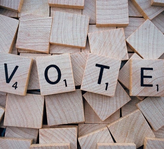 Explainer: What will the two referendums in March entail?