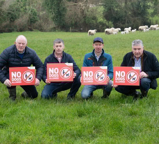 IFA launches 2024 ‘No Dogs Allowed’ campaign as lambing is underway