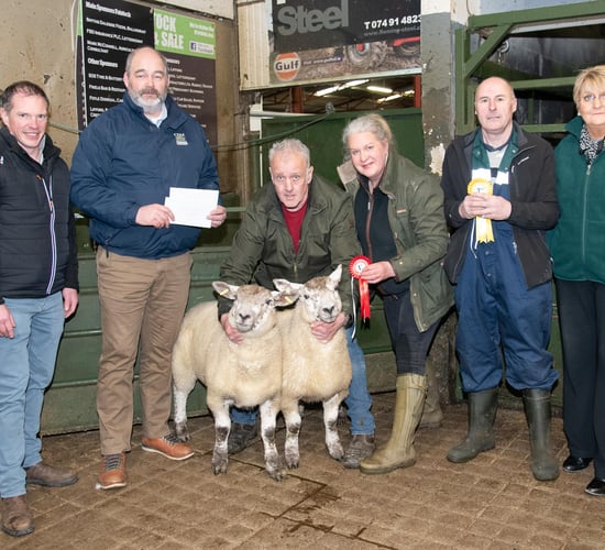 Raphoe Mart Easter lamb show and sale tops €360/head