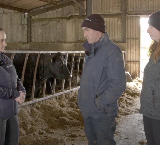 Watch: 'Difficult to continue' with lack of sleep during lambing