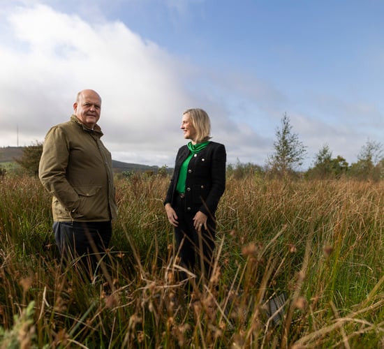 AIB targets net zero in 2050 on its financed emissions in agriculture