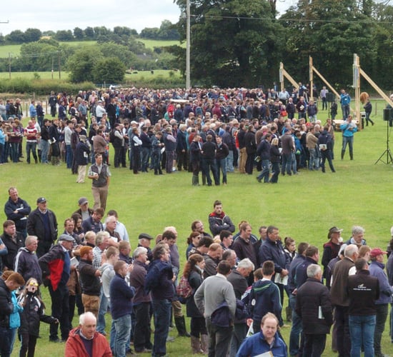 Diary date: BEEF2024 set for Teagasc Grange on June 26