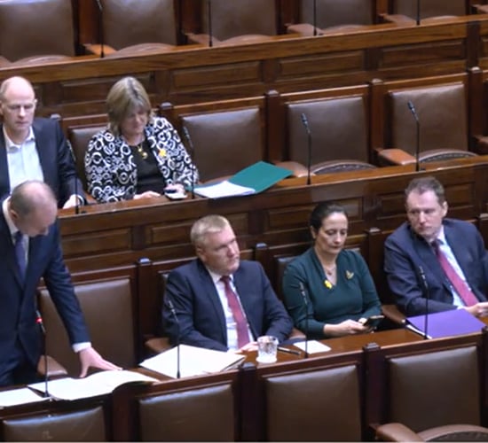 TD tells Dáil 'bureaucracy is smothering farmers’