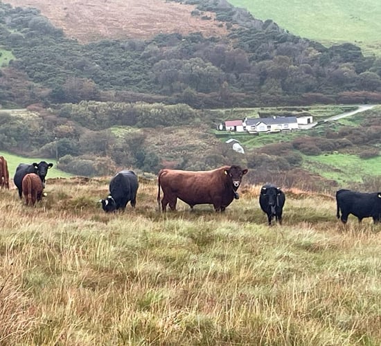 Inishowen project highlights range of biodiversity findings