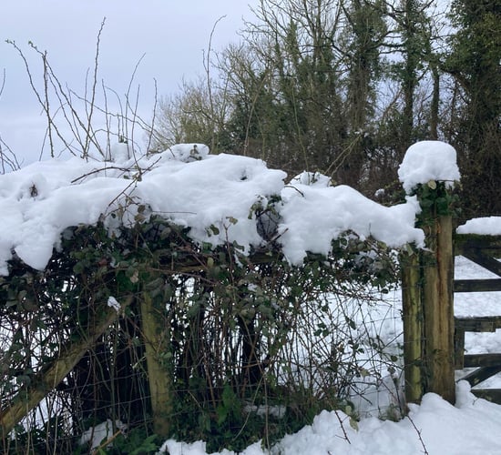 Heavy snow in Fermanagh halts agri activity