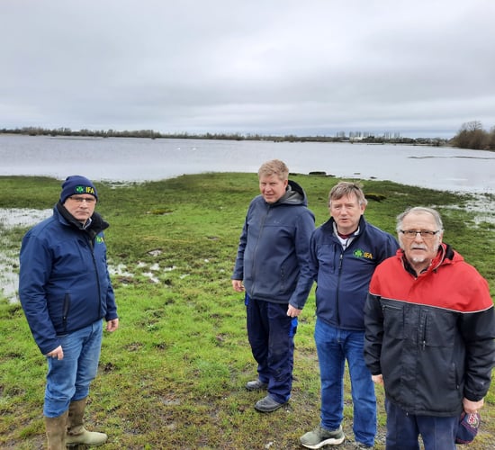 Payment sought for farmers omitted from Shannon Callows scheme
