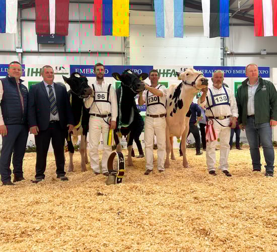 Emerald Expo to return to Cavan with prize fund on offer