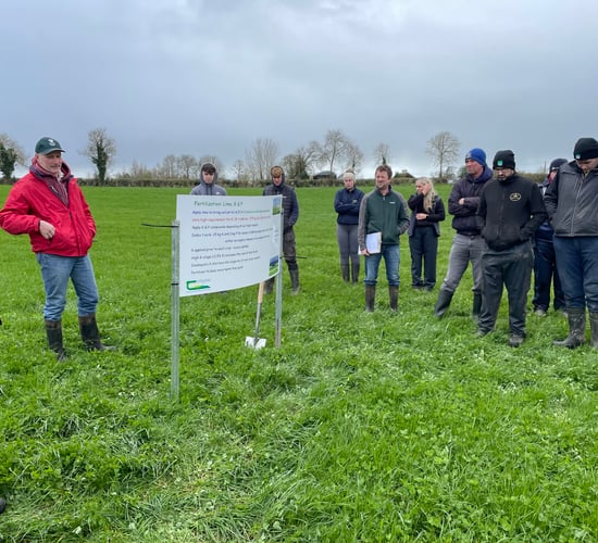 Red clover silage schemes and savings available to farms
