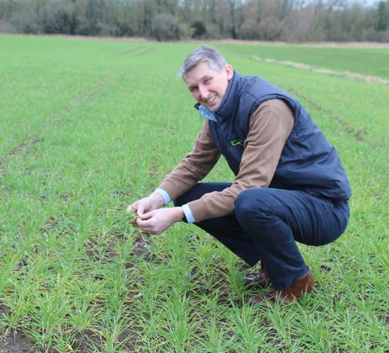 Spring planting conditions see dramatic improvement