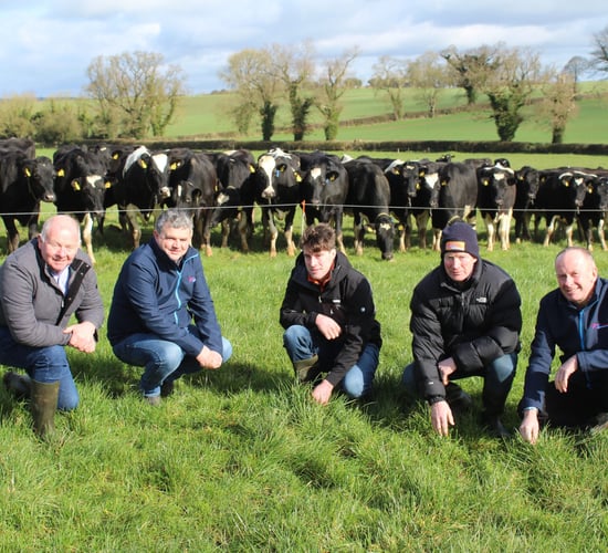 Focus: Improving feed self-sufficiency on 2 Munster dairy farms