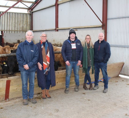 What's in the 'Irish Grass Fed Beef' PGI for beef farmers?