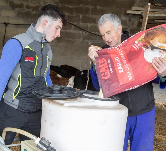 Preparing for the spring rush with quality calf milk replacer