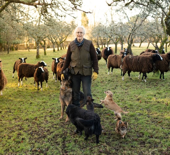 Art project to embark on rural tour and put farming 'under the spotlight'