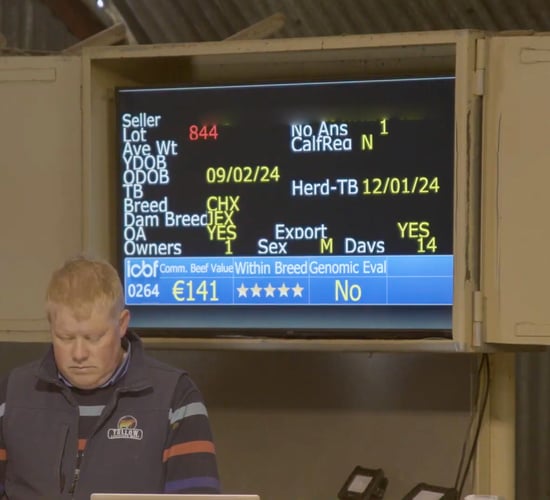 How will the CBV help farmers who buy their calves at the mart? Commercial Beef Value Series