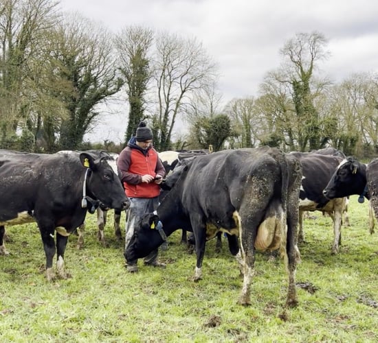 Sustainable strategies to enhance fertility and herd health