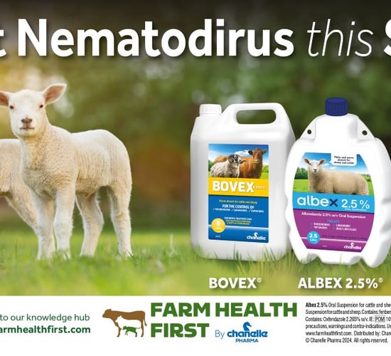Nematodirus forecast issued by the department