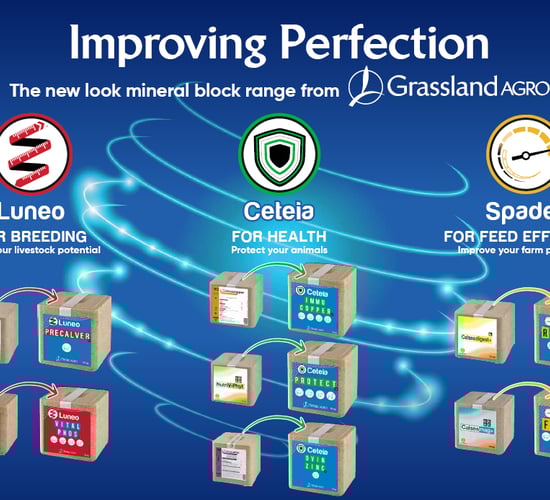 Mineral range provides free  supplements to dairy and suckler cows