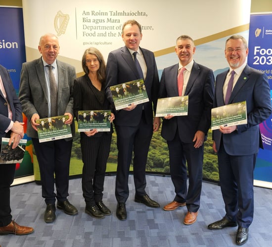 Dairy calf to beef action plan finalised