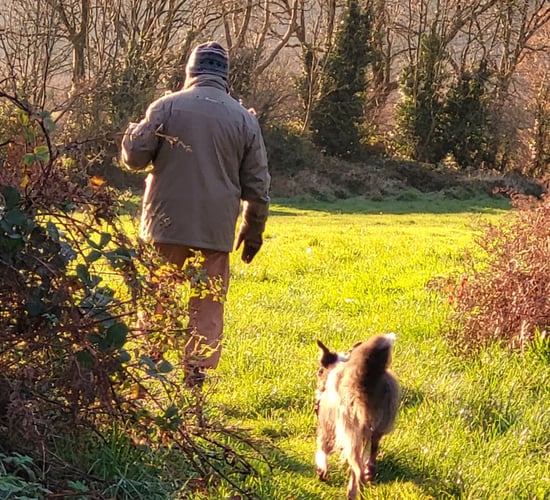 Kilkenny couple transform dog's life after years of abuse