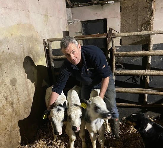 Priest urges Kerry farmer to keep surprise triplet bull calves