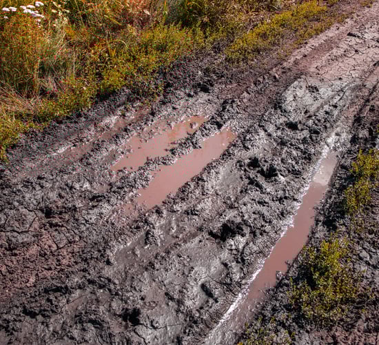 McConalogue urged to respond to 'worsening soil conditions'