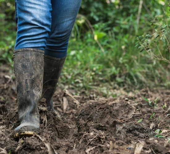 Minister explains different stamp duty rates for agricultural land