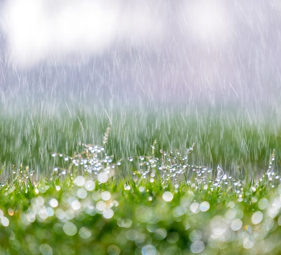 Met Éireann: Status Yellow rain warning for 6 eastern counties