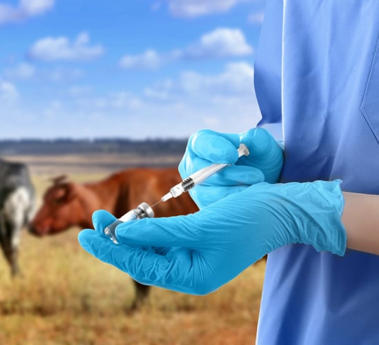 EFSA: Levels of veterinary drug residues in food 'remain low'