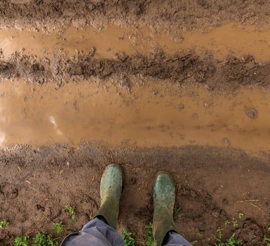 Minister to look at DAFM budget for tillage farmer supports