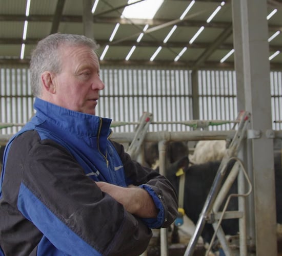 Progressive Farm Program: Breeding a functional cow in Kildare Video