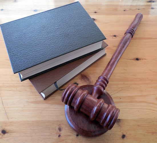 An Taisce welcomes High Court's 'rigour' in nitrates case