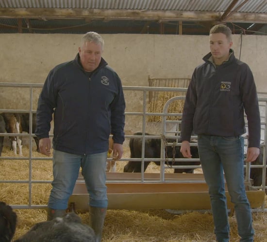 Progressive Farm Program: Huge genetic gains on dairy-beef enterprise