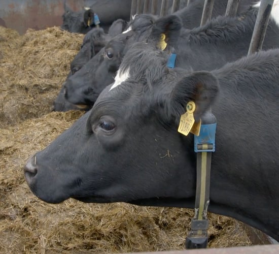 Progressive Farm Program: Keeping things simple on Laois dairy farm
