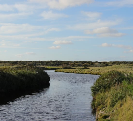 New guide to help farmers improve water quality in Wexford