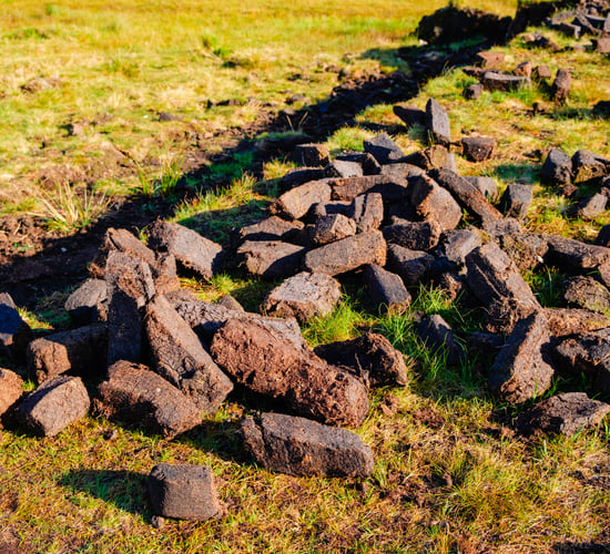 531 new applications for turf cutting compensation scheme 